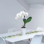 Dimora Zagara דירה *